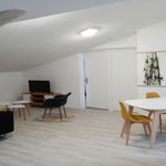  appartement avec 1 chambre(s) en location à Narbonne