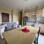 Rent 2 bedroom apartment of 66 m² in Piacenza