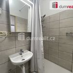 Rent 1 bedroom apartment of 19 m² in Mikulov