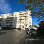 Rent 3 bedroom apartment of 53 m² in Valence