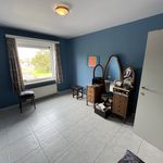 Rent 3 bedroom apartment of 117 m² in Lievegem