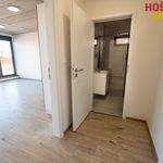 Pronajměte si 1 ložnic/e byt o rozloze 49 m² v Brno