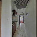 Rent 1 bedroom apartment of 19 m² in Bizanos