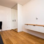 Rent 3 bedroom apartment of 55 m² in Płock