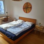 2 room flat for rent in staré mesto