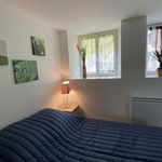Rent 1 bedroom apartment of 25 m² in La Roche-Posay