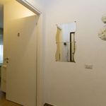 Studio of 25 m² in Milano