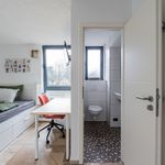 Rent 1 bedroom apartment of 25 m² in Potsdam