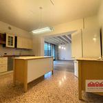 Affitto 5 camera casa di 300 m² in Isola Vicentina