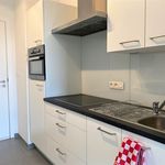 Rent 1 bedroom apartment of 45 m² in Turnhout