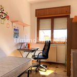 Affitto 5 camera appartamento di 130 m² in Catanzaro