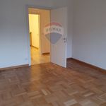 Affitto 4 camera appartamento di 70 m² in Milano