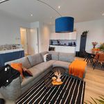 Rent 2 bedroom apartment of 56 m² in Arnhem