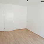 Rent 3 bedroom apartment of 91 m² in Knittelfeld