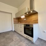 Rent 3 bedroom apartment of 56 m² in Choceň