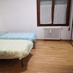 Rent 3 bedroom apartment in Padova