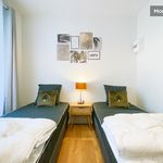 Appartement de 19 m² avec 1 chambre(s) en location à Saint-Martin-le-Vinoux
