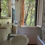 Rent 3 bedroom apartment of 65 m² in Treviso