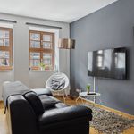 Rent 1 bedroom apartment of 55 m² in Dresden