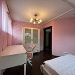 Rent 1 bedroom house in Nová Role