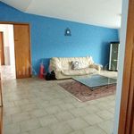 Rent 4 bedroom apartment of 90 m² in Frosinone