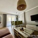 Wynajmij 2 sypialnię apartament z 50 m² w Katowice