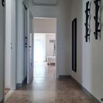 Rent 4 bedroom apartment in Venezia