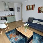 Rent 3 bedroom apartment of 47 m² in Łódź
