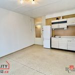Rent 1 bedroom apartment of 28 m² in Horní Bříza