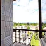 Rent 4 bedroom apartment of 125 m² in Monza