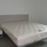 Rent 1 bedroom apartment of 40 m² in Ferrara
