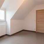 Rent 3 bedroom apartment in Wichelen