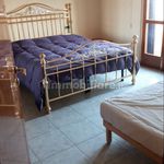 Rent 3 bedroom apartment of 76 m² in Poggio Imperiale