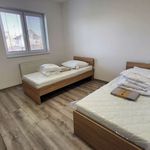 Pronajměte si 1 ložnic/e byt o rozloze 1527 m² v Opava
