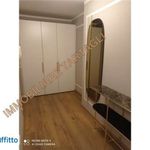 Rent 3 bedroom apartment of 77 m² in Firenze