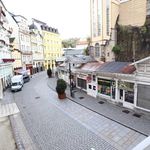 Rent 3 bedroom apartment of 110 m² in Karlovy Vary
