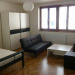 Rent 1 bedroom apartment of 55 m² in Ceské Budejovice