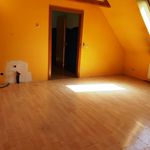 Rent 3 bedroom apartment of 66 m² in Hohenberg
