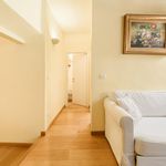 Rent 2 bedroom apartment in Florence