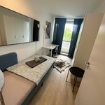 Miete 5 Schlafzimmer wohnung von 100 m² in München