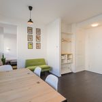 Rent 2 bedroom apartment of 35 m² in Berlin
