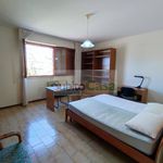 Affitto 4 camera appartamento di 80 m² in Chieti