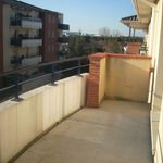 Rent 3 bedroom apartment of 60 m² in TOULOUSE