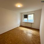 Rent 2 bedroom apartment of 53 m² in Knittelfeld