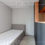 Rent 2 bedroom apartment of 26 m² in Poznań