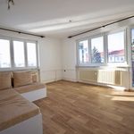 Rent 1 bedroom apartment of 79 m² in Brno