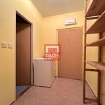 Rent 1 bedroom apartment of 30 m² in Olomouc