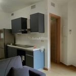 Affitto 1 camera appartamento di 32 m² in Monte Porzio Catone