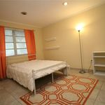 Rent 2 bedroom apartment of 1178 m² in Miami