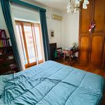 Rent 1 bedroom apartment of 18 m² in Roma